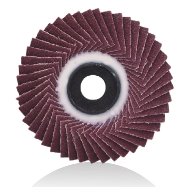 Flexible Flap Disc